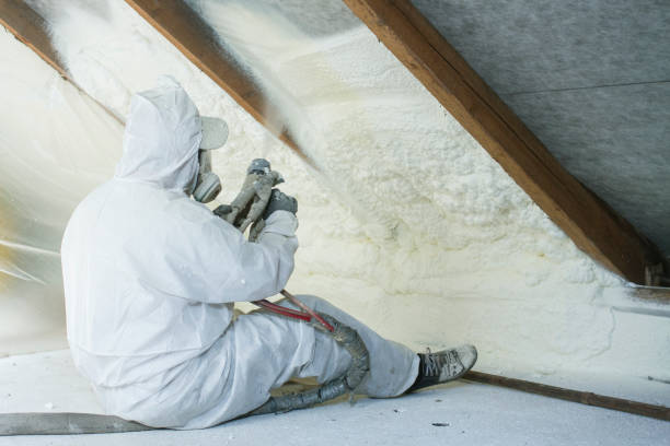 Best Attic Insulation Installation  in Cadott, WI